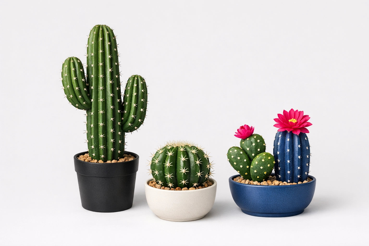 Cactus artificiali