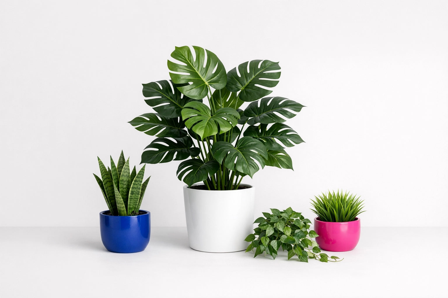 Piante verdi artificiali
