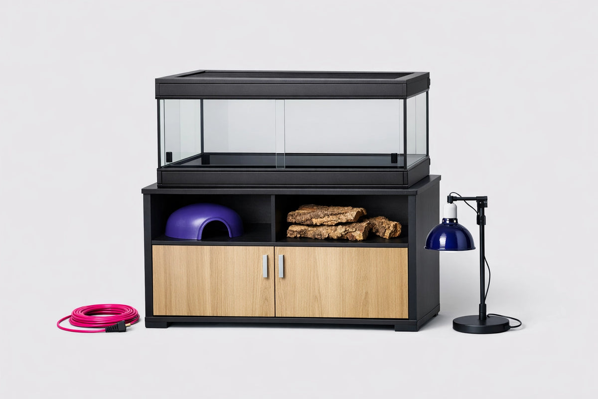 Mobili per terrarium