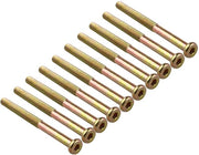 Viti interni da 10 pezzi - Lunghezza 100 mm - Diametro 8 mm - Spessore del filo 1,25 mm - Verniciato - Resistente alla corrosione - Viti