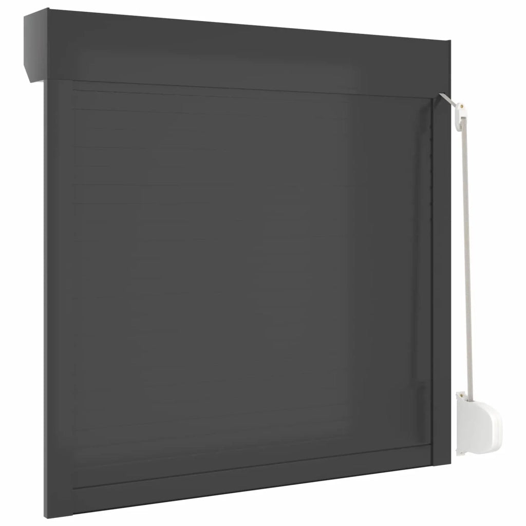 Persiana a rullo Antracite 100 x 100 cm Alluminio e poliuretano 42047065