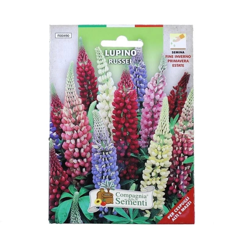 BUSTA SEMENTI FIORI LUPINO RUSSEL