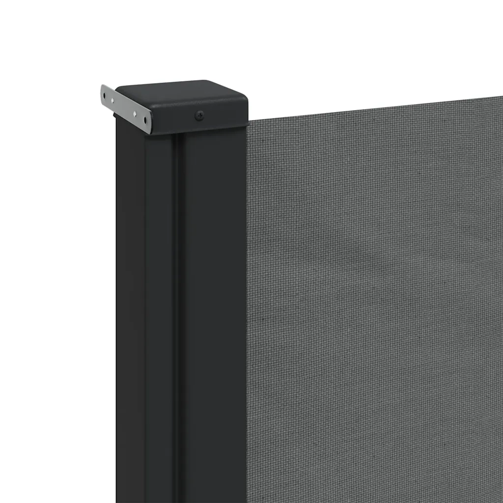 Tenda da Sole | Tenda parasole laterale retrattile antracite 160x300 cm