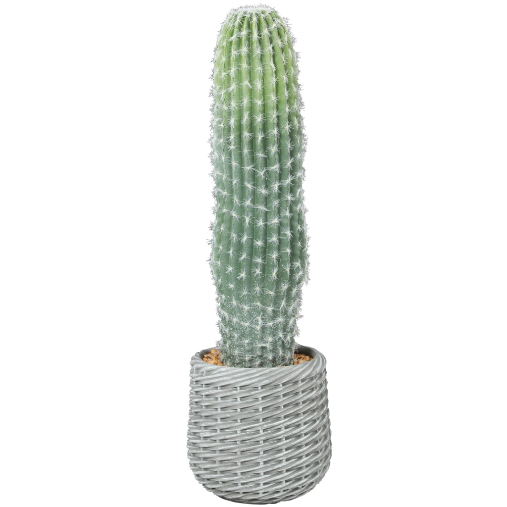 Cactus Artificiale Decorativo 66cm ¨C Xylo ¨C Verde con Vaso