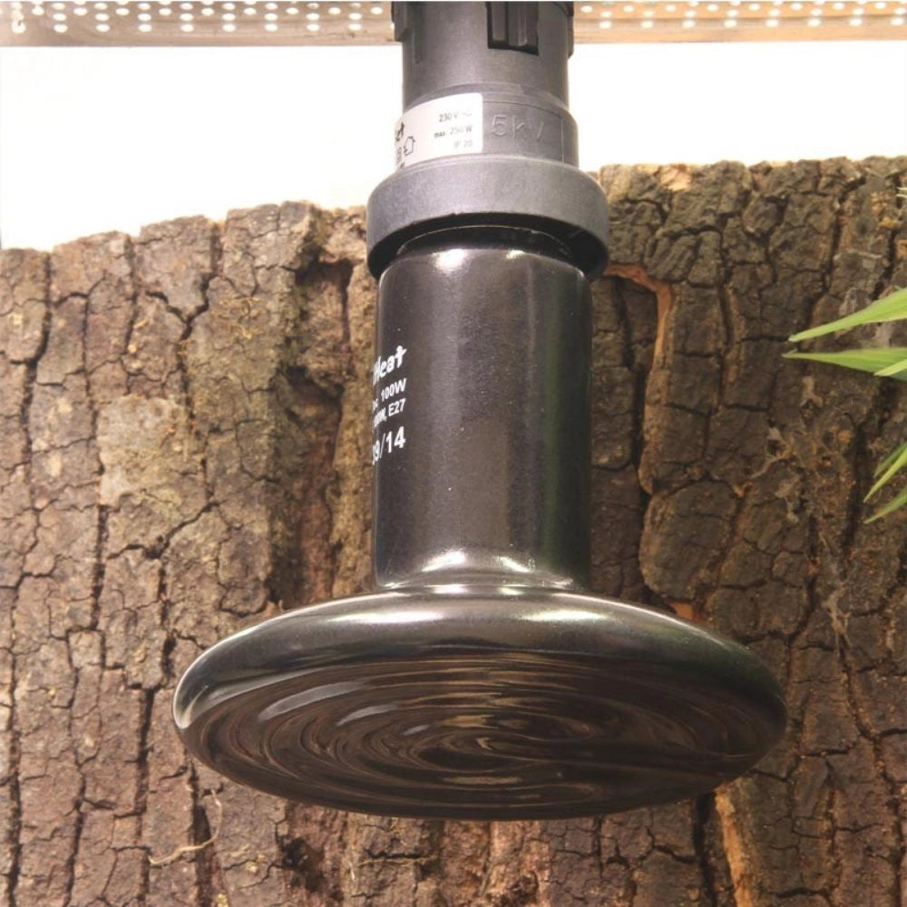 JBL Reptil Heat - lampada in ceramica per terrari Wattaggio Riscaldatori e lampade terrario: 100W