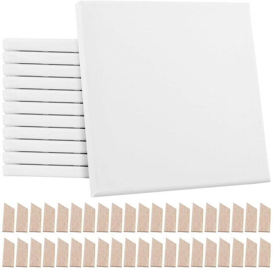 Set di pennelli per pittura 20 x 20 cm - Lotto da 12 - Struttura a spirale professionale - Pre-primito - 280 g/m² - Adatto per acrilico/ olio - Tovaglioli per pittura
