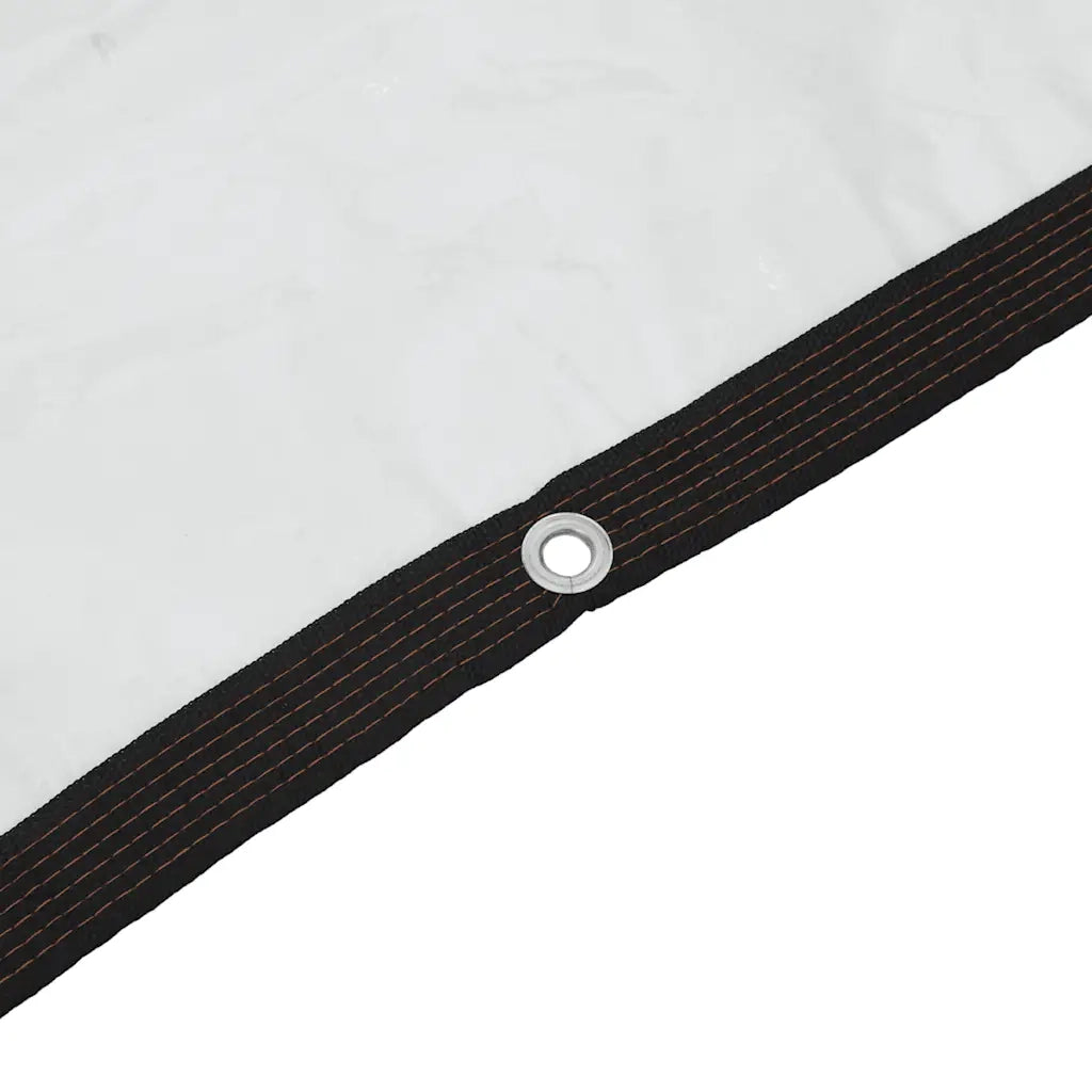 Telone Trasparente con Occhielli 5x5 m in Polietilene 4018568