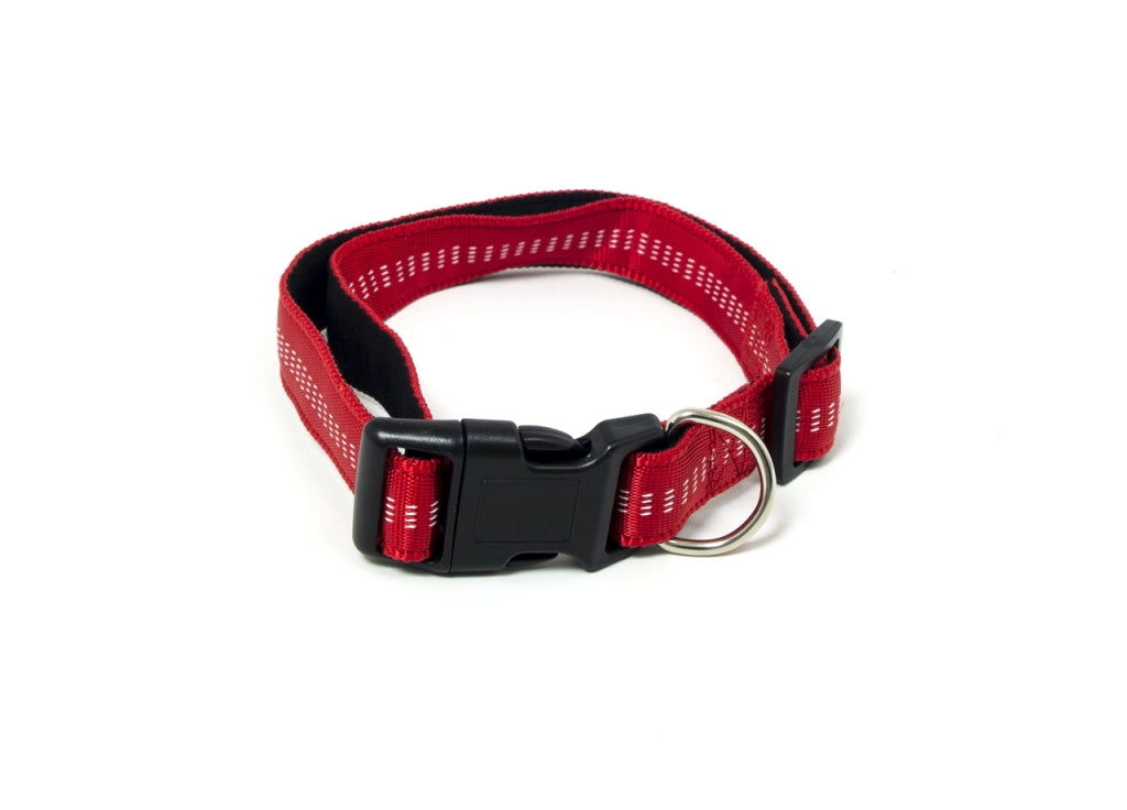 Comodo E Resistente Collare Per Cani Regolabile Modello Color Doggy - M - Rosso