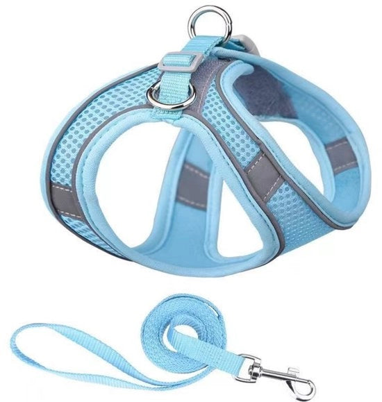Cinturoni per cani - Linea di cinturoni per cani anti-fuga - Cinturoni per gatti adattabili - Giacche per gatti riflettenti e respiranti - Linea di cinturoni per cani piccoli e medi - Linea di cinturoni per cani piccoli e medi - Lunghezza: L