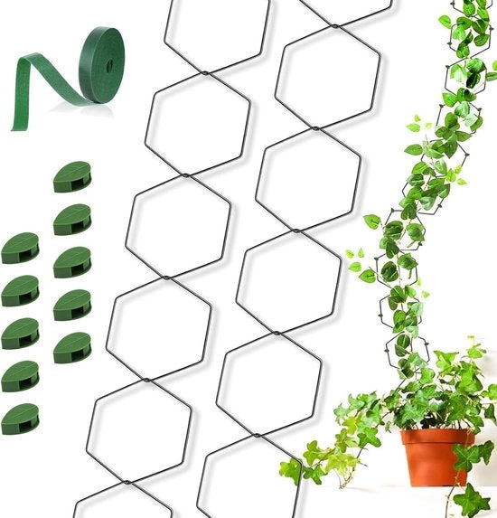 18 aiuti di salita per piante di camera con 1 metro di cavi e 10 ganci per viti - Pothos (a sei angoli)
