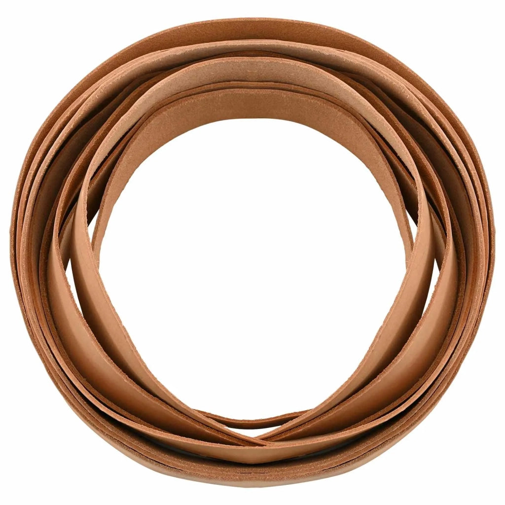 Cinturino in pelle Marrone Chiaro 500 x 3 cm Pelle 42034263