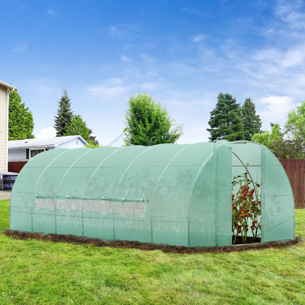 EasyComfort Serra per Orto a Tunnel con Porta e 8 Finestre, Serra da Giardino in PE e Metallo Zincato, per Coltivazaione Piante, 600x300x200cm