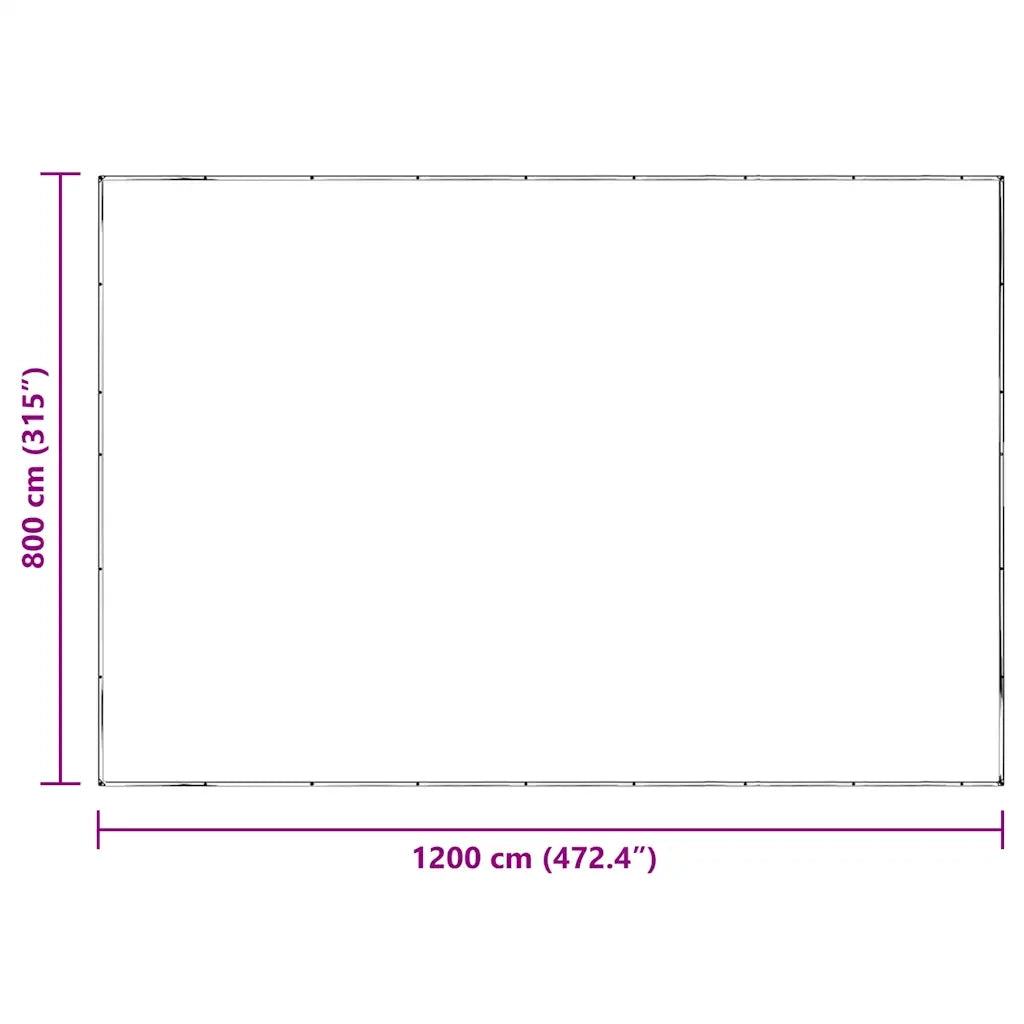 Telone Trasparente con Occhielli 8x12 m in Polietilene