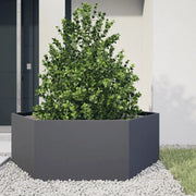 Fioriera da Giardino Antracite Esagono 138x120x45 cm in Acciaio 851138