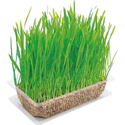 VITAKRAFT ERBA GATTA PRONTA IN CONFEZIONE D A 120 GR
