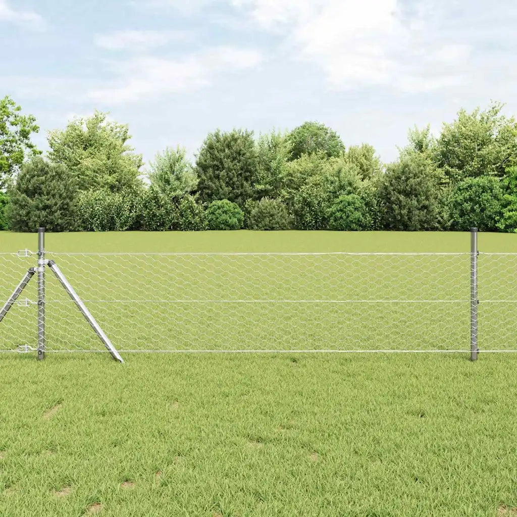 Palo della recinzione Argento 50 x 0,8 m (rete 36 mm) Acciaio
