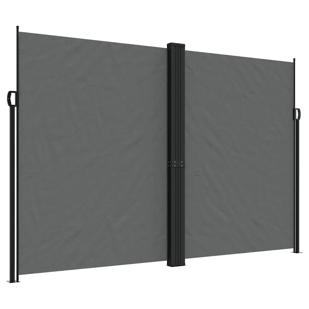 Tenda da Sole Laterale Retrattile Antracite 220x1200 cm 4004868