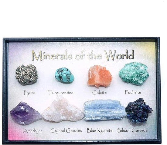 Set di Cristalli di Roccia da 8 - Pietre Naturali - Educazione Geologica - Decorazione per la Casa - Regalo per Bambini - Scatola di Raccolta in Plastica