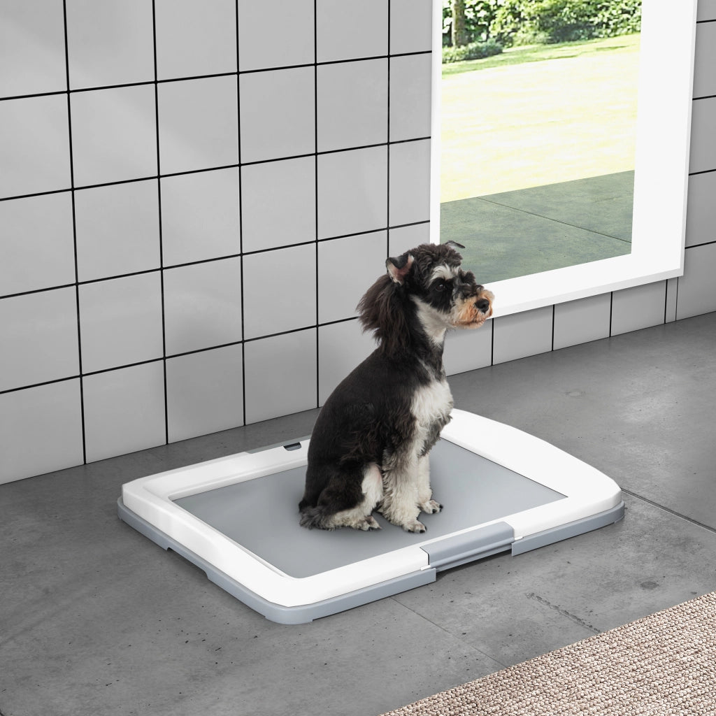 Bandeja Igienica per Cani con Griglia ¨C Zephmum ¨C Grigio 63x48.5x6 cm