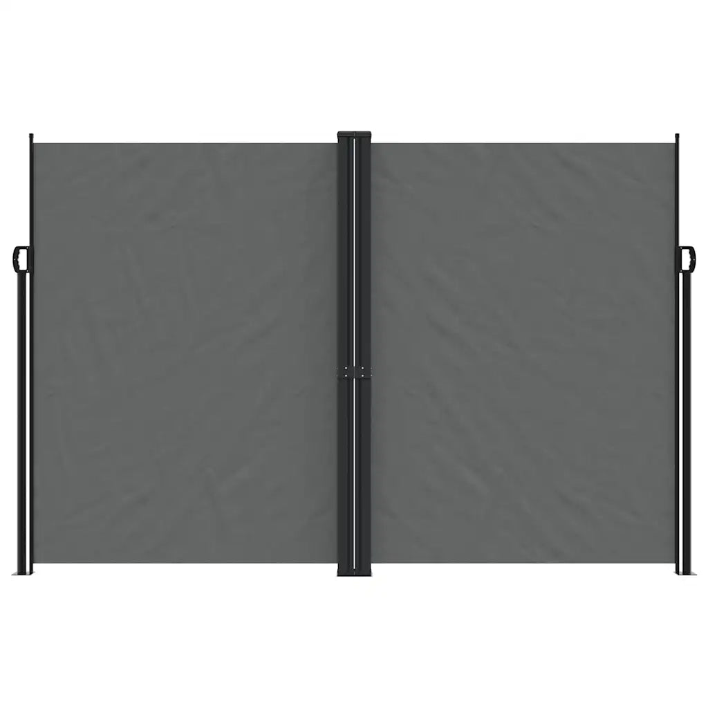 Tenda da Sole Laterale Retrattile Antracite 220x1200 cm 4004868