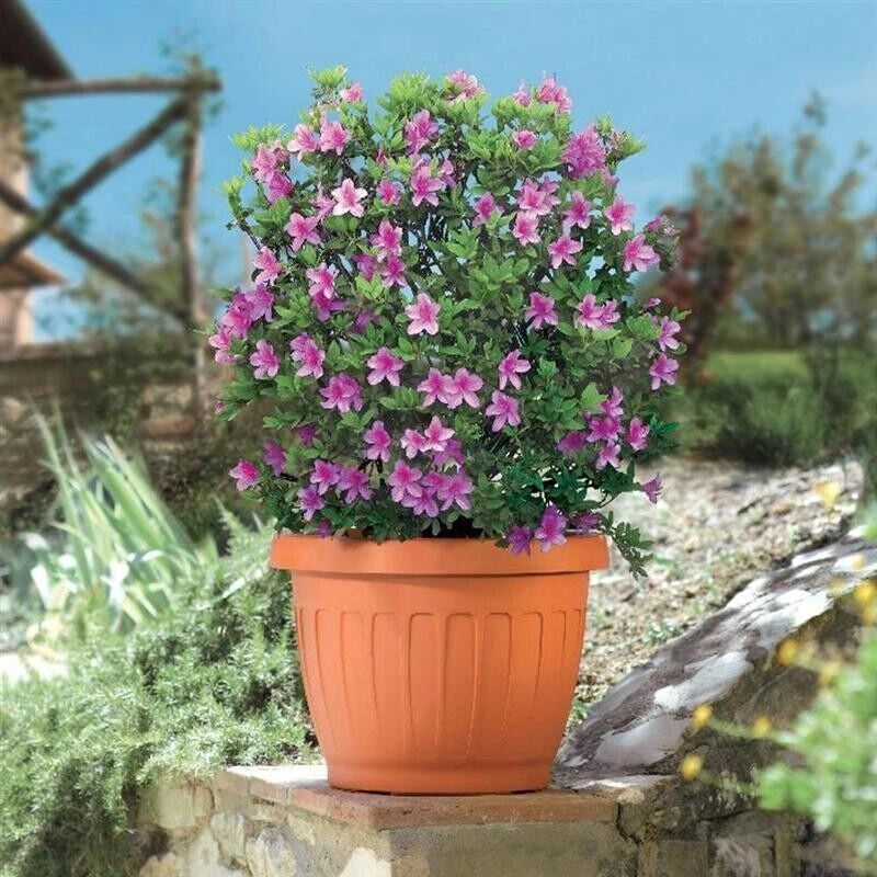 BAMA VASO DA TERRA IN PLASTICA ROTONDO 25 CM COLORE TERRACOTTA