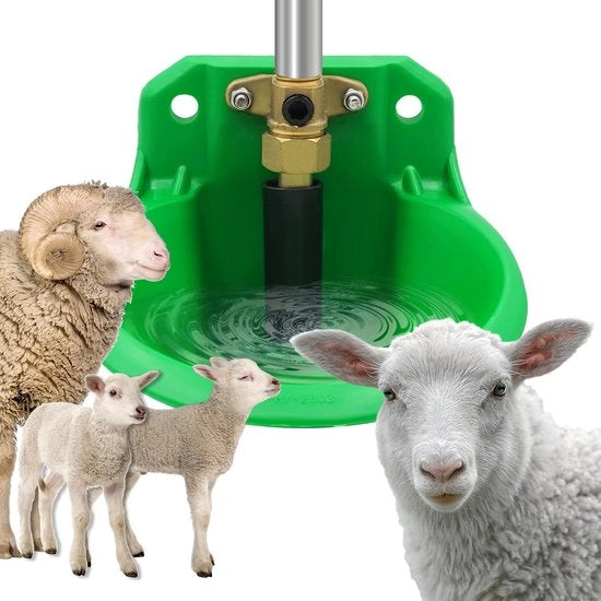 Beccuccia Automatica per Animali - Ideale per Capre e Pecore - Sostenibile 

Modello: ABC123 
Capacità: 5 litri 
Potenza: 12V 
Consumo: 1,5A 
Dimensioni: 30x20x40 cm 
Peso: 5 kg 
Materiali: Acciaio inox e plastica 
Certificazioni: CE e RoHS
