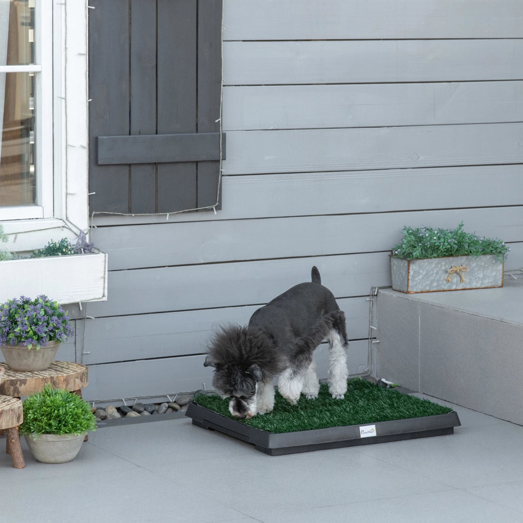 Toilette per animali domestici, erba artificiale, toilette per cani, appartamento/balcone, 63x51x6cm