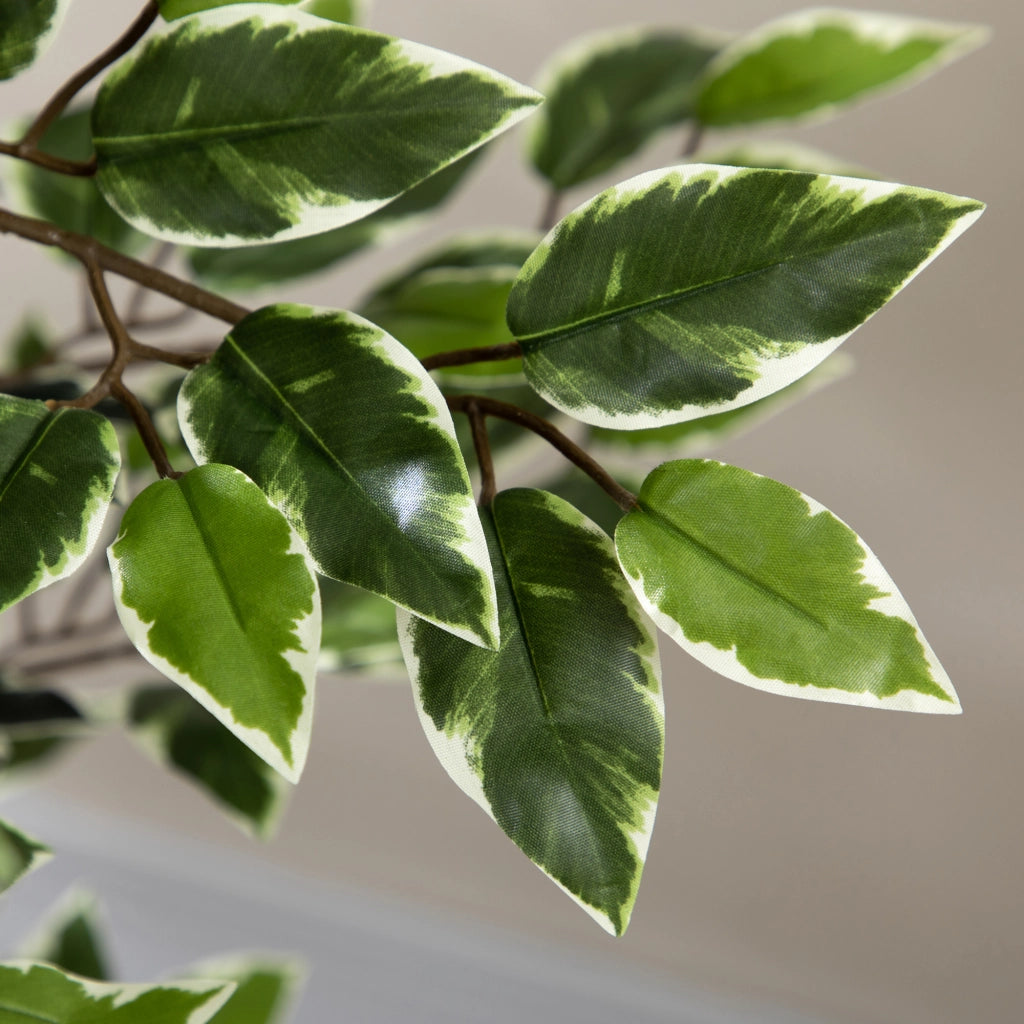 Pianta Ficus Artificiale ¨C Minimal ¨C Verde Realistico 130cm