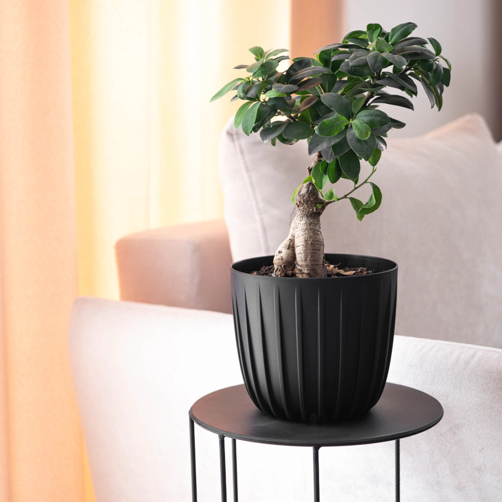 Vaso da fiori KADAX, vaso da fiori, coprifiori, 23,5 cm, rotondo, in plastica, nero