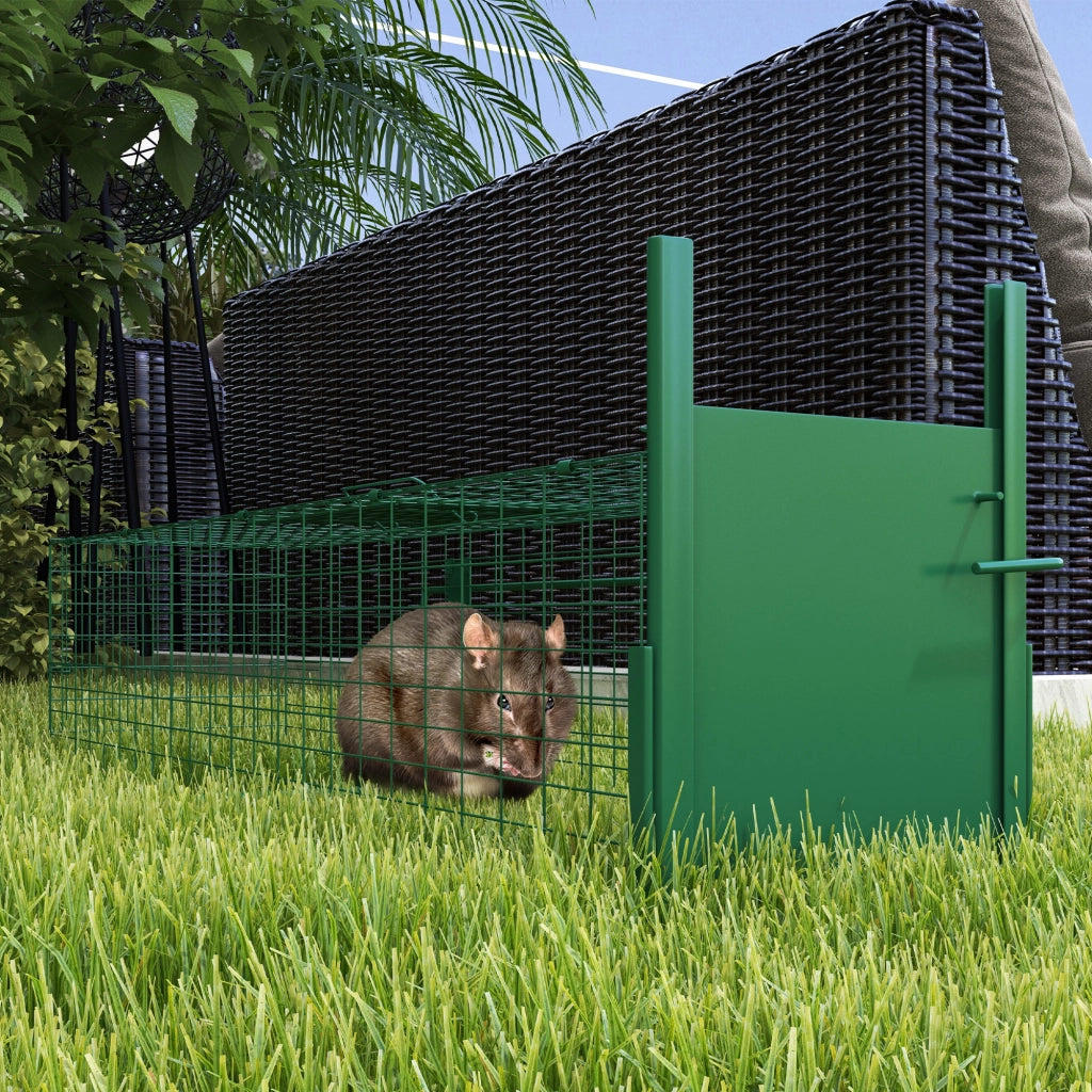 Gabbia Trappola per Animali Piccoli 100x25x28 cm conPorta e Maniglia in Acciaio Verde Scuro