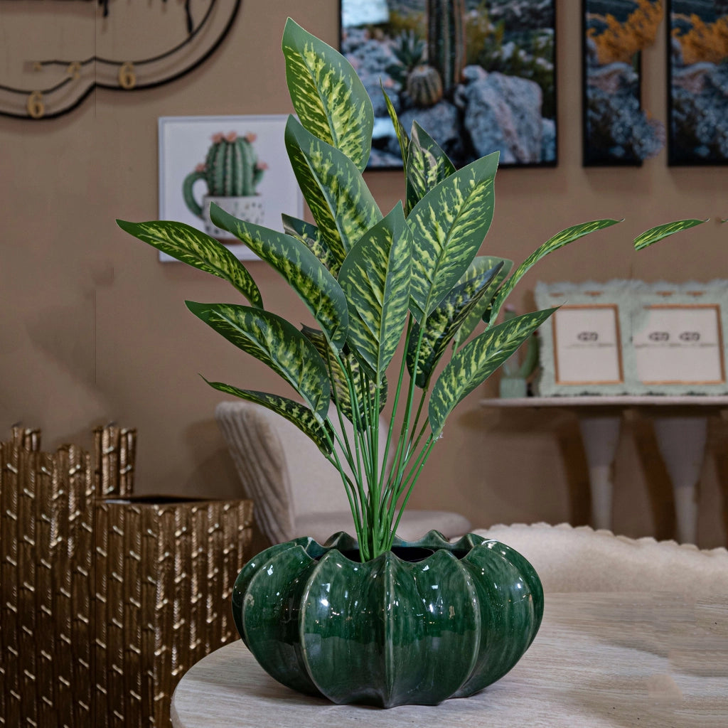 Aysgar, Vaso Disegno con Cactus, Verde