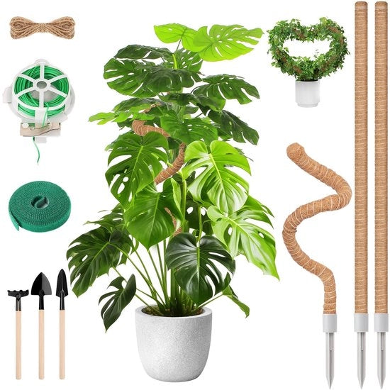 Supporti per piante flessibili 3 pezzi 120 cm/60 cm - Supporti per piante per piante rampicanti - Pali per totem di cocco - Incluso attrezzo da giardino e corda - Supporti per piante
