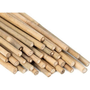 C CANNA BAMBOO NATURALE 210 CM-D.22/24 MM- C LINE GARDEN- 25,0 pz