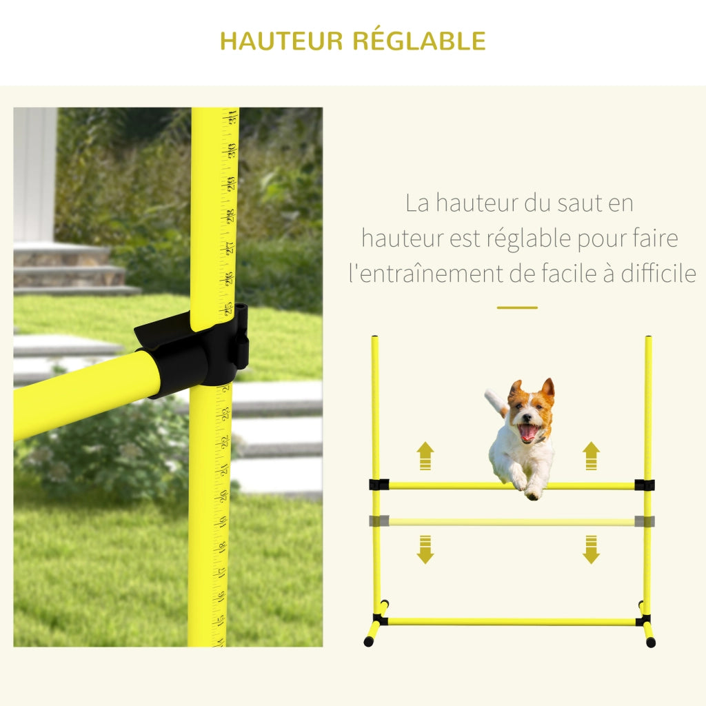 Set Ostacoli Agility per Cani ¨C Xylo ¨C 4 Pezzi Professionale con Borsa
