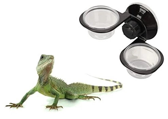 Bacino Alimentare per Reptili con Doppio Compartimento - Bacino con Acqua - Struttura Stabile - Facile da Pulire - Materiale Translucido