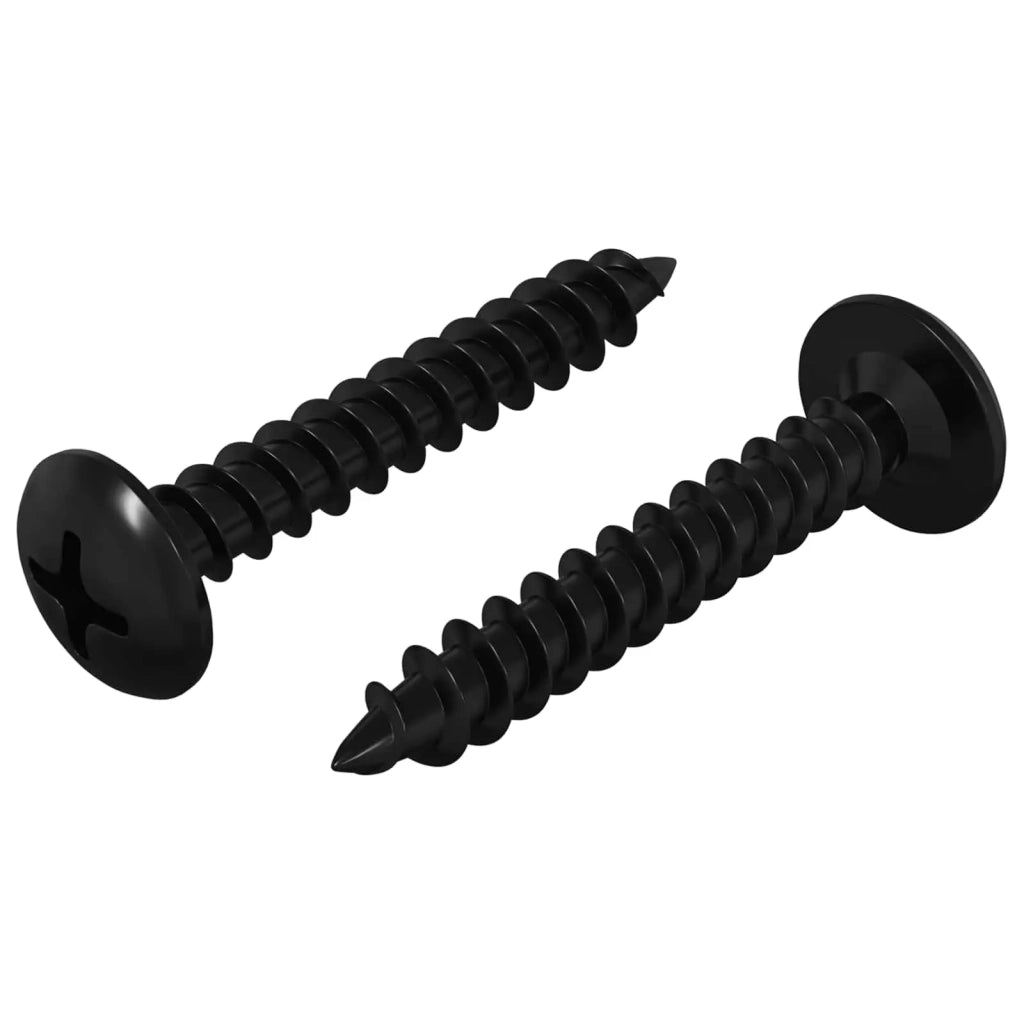 Chiodo autofilettante 2 pz Nero 4 x 25 mm Acciaio CFW7617219
