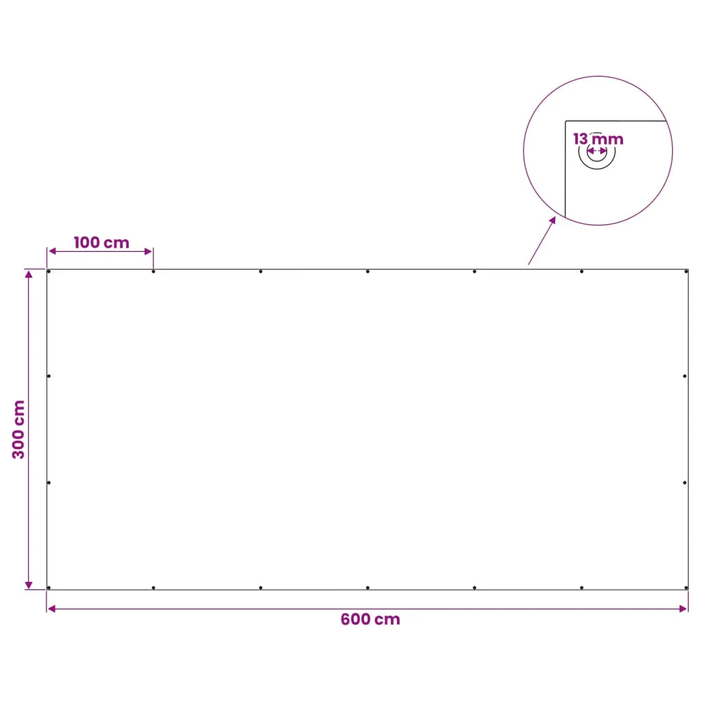 Telo con Occhielli Grigio Antracite 3 x 6 m 90 gsm PE 42039435