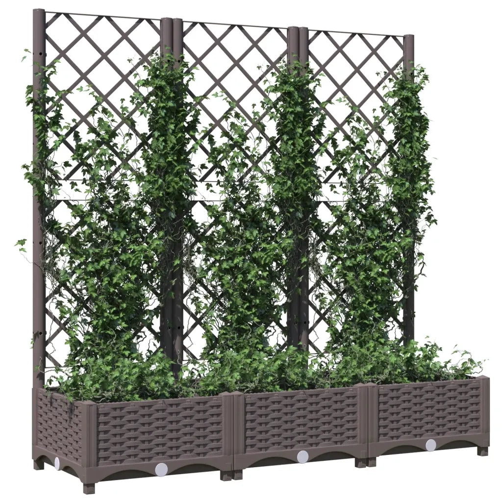 Fioriera | Cassetta per fiori | Vaso da giardino con traliccio marrone 120x40x121,5 cm PP