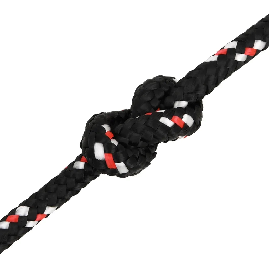 Corda per barca Nera 8 mm 50 m in Polipropilene 152343