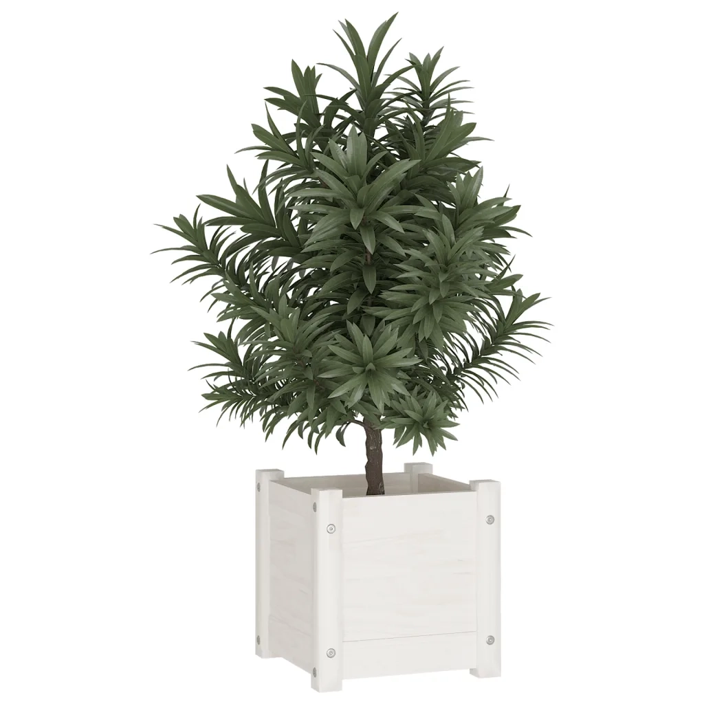 Fioriera da Giardino-Vaso da Esterno Bianca 31x31x31 cm Legno Massello di Pino 173653