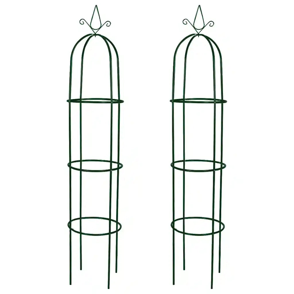 Set Torri ad Arco 2 pz per Piante Rampicanti da Giardino 40779