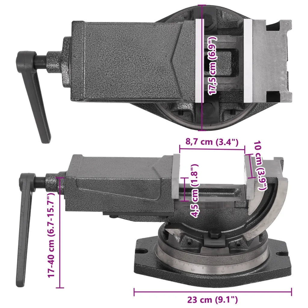 Morsa Inclinabile a 2 Assi 100 mm 145390
