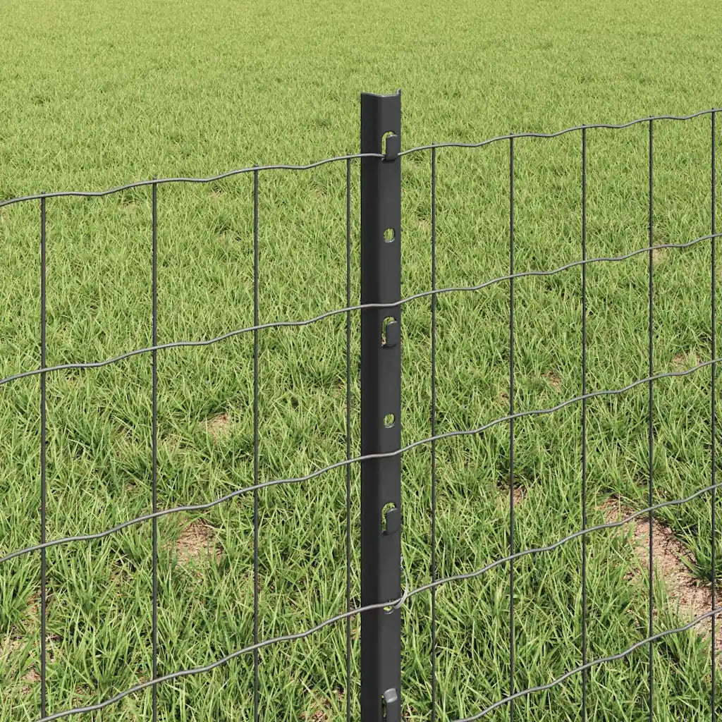 Recinzione da Giardino | Recinzione con Posto Grigio