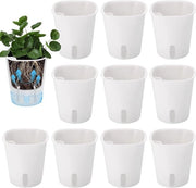 Pannelli per piante autoirriganti 10pz, diametro 7,5cm, con sistema di irrigazione e indicator di livello d'acqua per piante di violetta, serpentina e succulente indoor e outdoor bianchi
