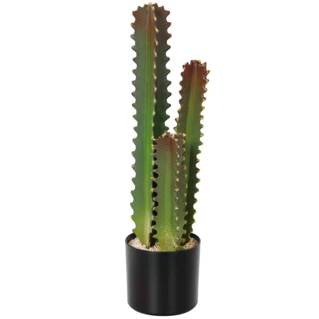 Cactus Artificiale Decorativo ¨C Xylo ¨C 66 cm con Vaso e 3 Foglie Verde
