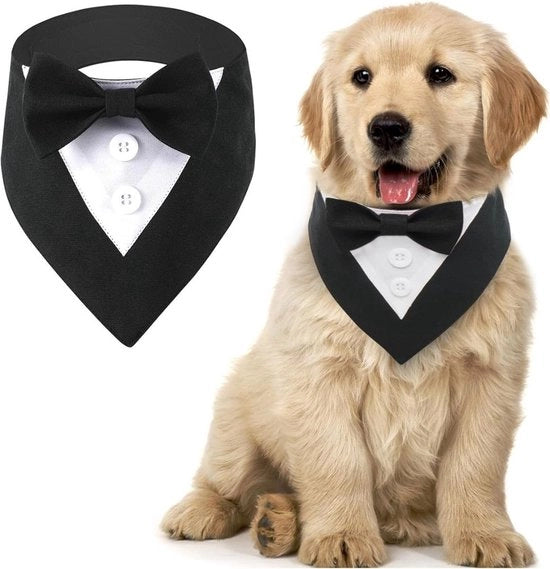Bandana per cani stilese per matrimoni, compleanni e feste - Adattabile e comodo