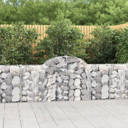 Cesti Gabbioni ad Arco 40 pz 200x30x80/100 cm Ferro Zincato 3146107