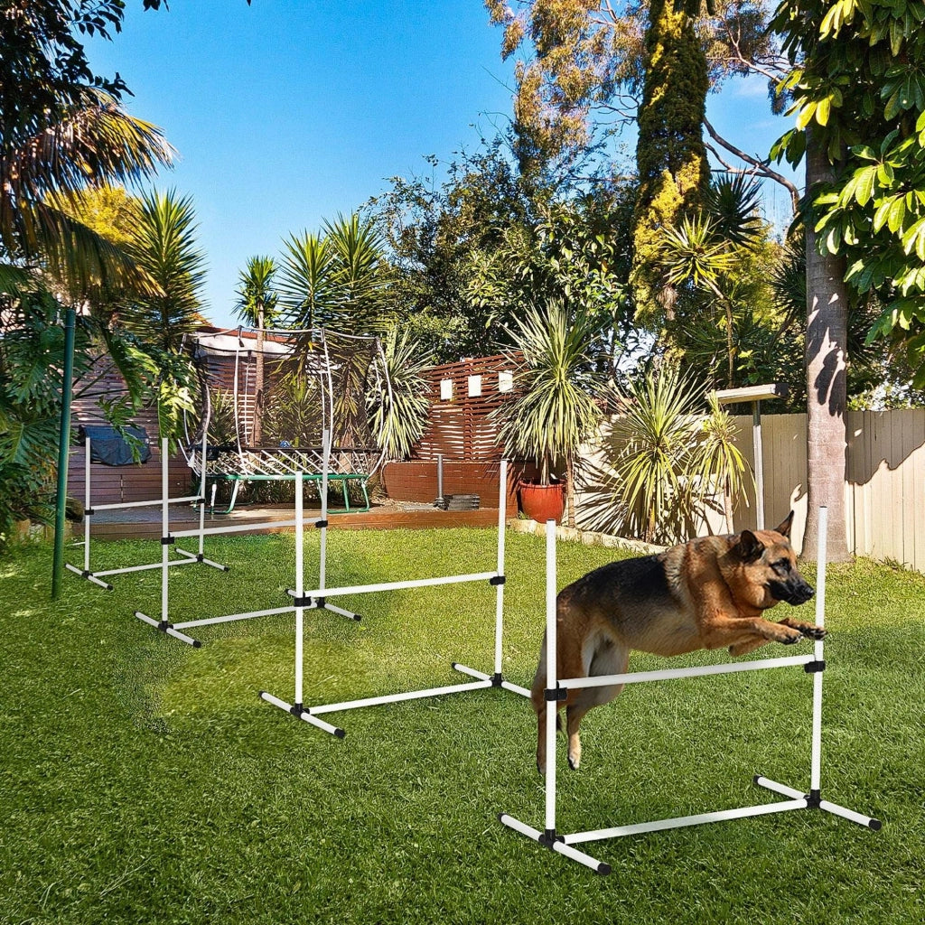 Set Agilit¨¤ per Cani 4 Pezzi ¨C zephmum ¨C Regolabile in Altezza, Con Borsa