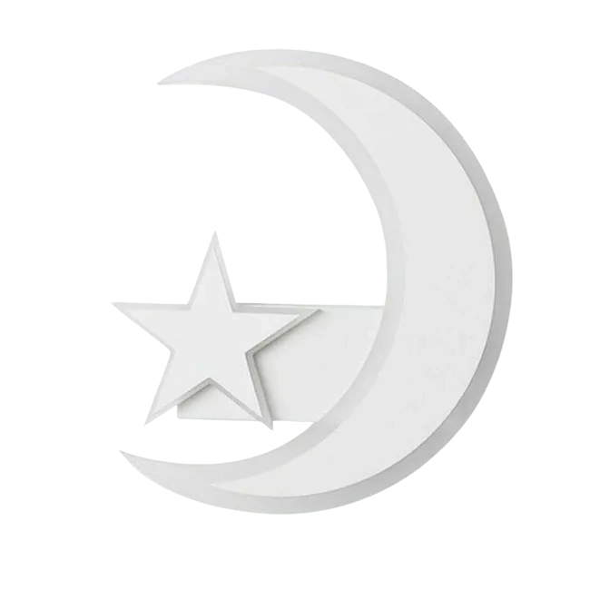 APPLIQUE A LED DA PARETE LAMPADA LUNA LUCE BIANCA CON STELLA LUCE CALDA FREDDA NATURALE 11W