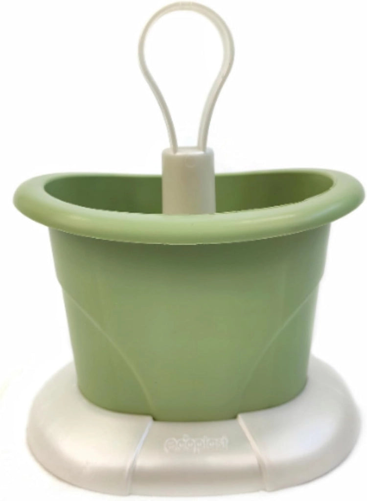 SCOLAPOSATE colore madreperla/verde  - ECOPLAST